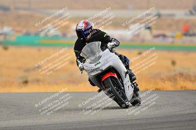 media/Jan-25-2025-2WTD (Sat) [[229346f7e8]]/C Group/Session 3 (Turn 4)/